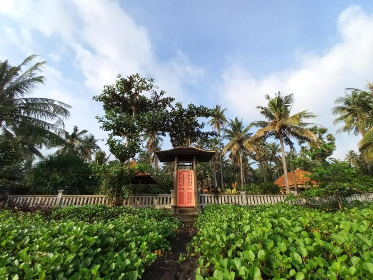 Bali North Beach B&B Tianyar Esterno foto